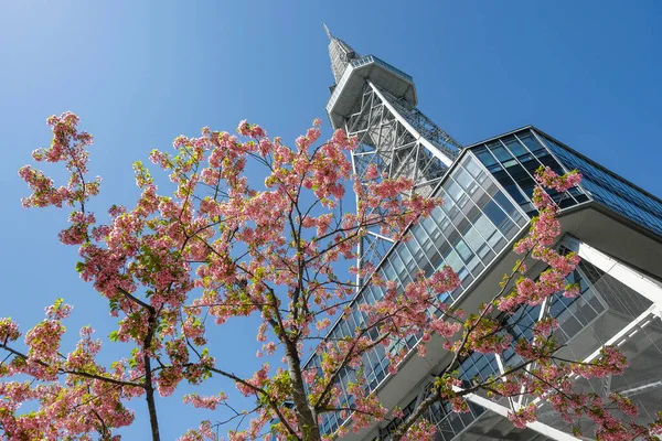 Nagoya Japón Marzo 2023 Flores Cerezo Junto Torre Mirai Energía —  Fotos de Stock