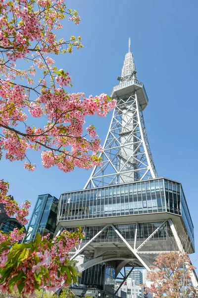 stock image Nagoya, Japan - March 14, 2023: Cherry blossoms next to the Chubu Electric Power Mirai Tower is a television tower in Nagoya, Japan.