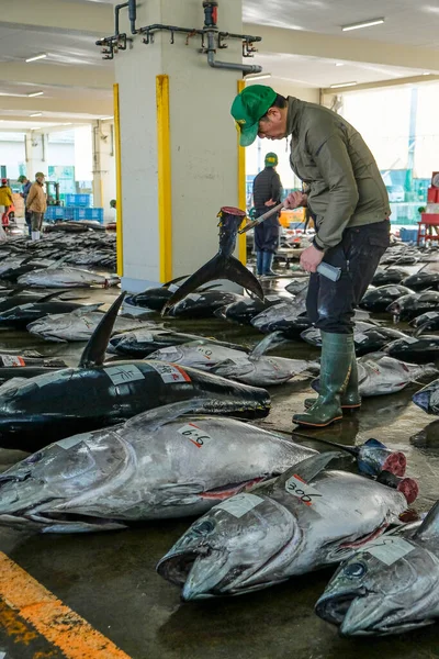 stock image Nachikatsuura, Japan - March 19, 2023: Buyers inspecting tuna at the tuna market auction in Nachikatsuura on the Kii Peninsula, Japan.