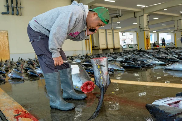 Nachikatsuura Japonia Marca 2023 Nabywcy Dokonujący Inspekcji Tuńczyka Aukcji Rynku — Zdjęcie stockowe