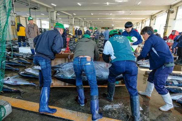 Nachikatsuura, Japonya - 19 Mart 2023: Japonya 'nın Kii Yarımadası' ndaki Nachikatsuura pazar açık artırmasında tunalar taşıyan adamlar.