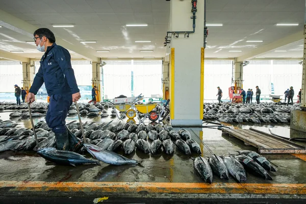 Nachikatsuura Japonia Marca 2023 Człowiek Przewożący Tuńczyka Aukcji Tuńczyka Półwyspie — Zdjęcie stockowe