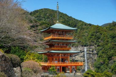 Nachikatsuura, Japonya - 19 Mart 2023: Kumano Nachi Taisha 'daki Seigantoji Pagoda Japonya' nın Nachikatsuura kentindeki bir Shinto tapınağıdır..