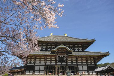 Nara, Japonya - 22 Mart 2023: Todaiji Tapınağı Japonya 'nın Nara kentindeki bir Budist tapınağıdır..