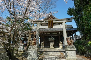 Kyoto, Japonya - 28 Mart 2023: Toribeyama Myokendo Tapınağı Japonya 'nın Kyoto kentinde bir Budist tapınağıdır..