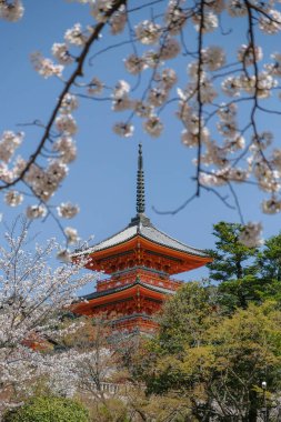 Kyoto, Japonya - 28 Mart 2023: Kiyomizudera Tapınağı 'nın Pagoda' sı, Kyoto, Japonya 'da bulunan bir Budist tapınağıdır..