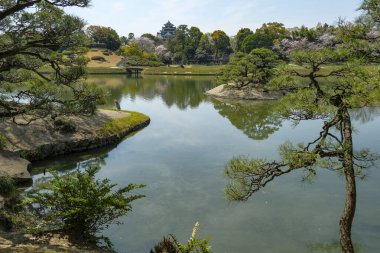 Okayama, Japonya - 4 Nisan 2023 Okayama Korakuen Garden, Japonya 'nın Okayama kentinde bulunan bir Japon bahçesidir..