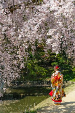Okayama, Japonya - 4 Nisan 2023: Okayama Korakuen Bahçesi 'nde kimono giymiş bir kadın Okayama, Japonya' da bulunan bir Japon bahçesidir..