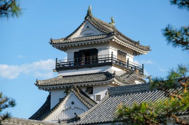 Kochi, Japonya - 9 Nisan 2023 Kochi Kalesi, Japonya 'nın Kochi şehrinde bulunan bir Edo Dönemi Japon kalesidir..