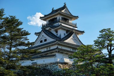 Kochi, Japonya - 9 Nisan 2023 Kochi Kalesi, Japonya 'nın Kochi şehrinde bulunan bir Edo Dönemi Japon kalesidir..