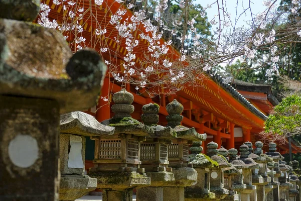 Nara Ιαπωνία Μαρτίου 2023 Kasuga Taisha Είναι Ένα Ιερό Που — Φωτογραφία Αρχείου