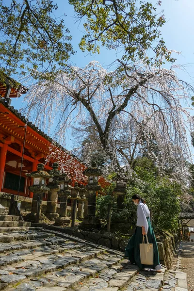 日本奈良 2023年3月22日 日本奈良市奈良公园东部的Kasuga Taisha神龛 一名身着和服的妇女 — 图库照片