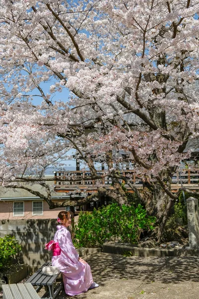 Киото Япония Марта 2023 Года Женщина Кимоно Храме Миокендо Торибеяма — стоковое фото
