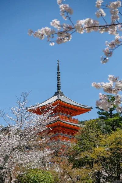 Κιότο Ιαπωνία Μαρτίου 2023 Παγόδα Του Ναού Κιγιομιζουντέρα Κιγιομιζουντέρα Είναι — Φωτογραφία Αρχείου