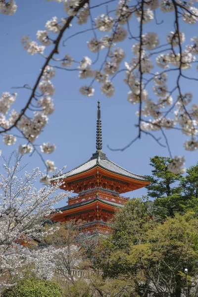 Κιότο Ιαπωνία Μαρτίου 2023 Παγόδα Του Ναού Κιγιομιζουντέρα Κιγιομιζουντέρα Είναι — Φωτογραφία Αρχείου