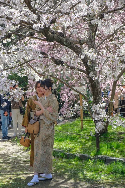 日本京都 2023年3月28日 两名身着和服的妇女在日本京都的丸山公园樱花树下自拍 — 图库照片