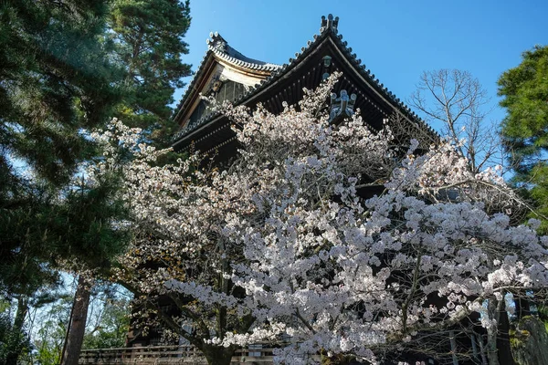 Kyoto Japan Μαρτίου 2023 Chionin Temple Είναι Ένας Βουδιστικός Ναός — Φωτογραφία Αρχείου