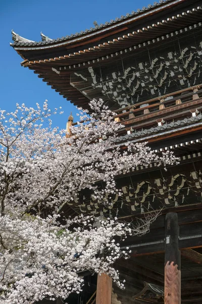 Kyoto Japan Μαρτίου 2023 Chionin Temple Είναι Ένας Βουδιστικός Ναός — Φωτογραφία Αρχείου