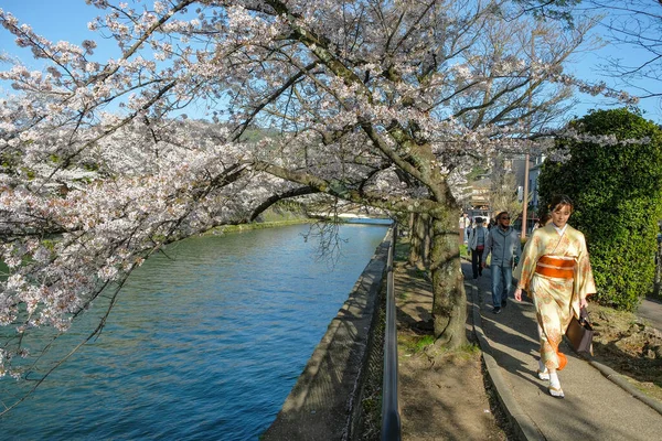 日本京都 2023年3月28日 一名身穿和服的妇女在日本京都的冈崎运河边散步 她的樱花盛开 — 图库照片