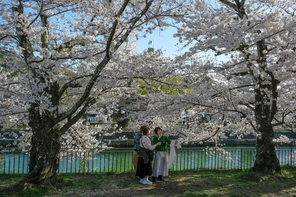 日本京都 2023年3月28日 在日本京都的冈崎运河 女人带着樱花自拍 — 图库照片