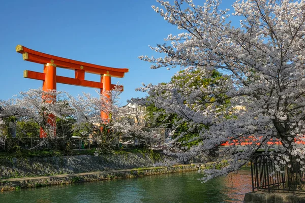 Κιότο Ιαπωνία Μαρτίου 2023 Όψεις Του Καναλιού Okazaki Άνθη Κερασιάς — Φωτογραφία Αρχείου