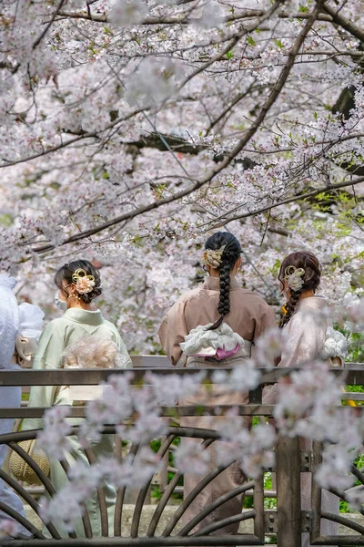 日本京都 2023年3月31日 身着和服的女性在日本京都清华街高山河边的樱花旁拍照 — 图库照片