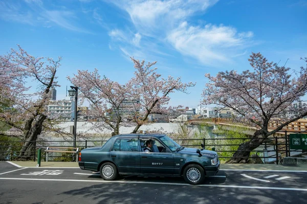 Okayama Japão Abril 2023 Táxi Lado Flores Cerejeira Okayama Japão — Fotografia de Stock
