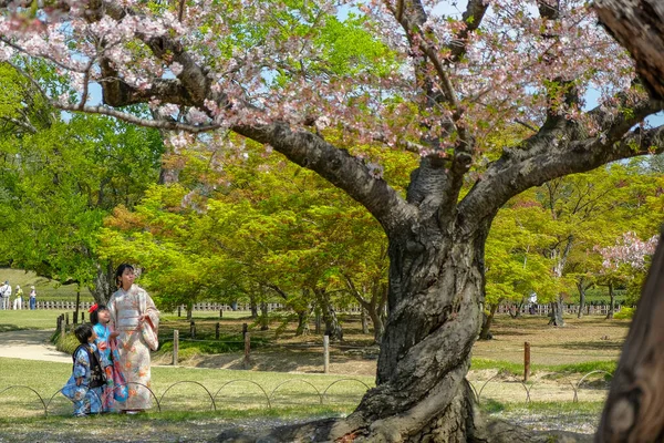 日本冈山 2023年4月4日 冈山美园 Okayama Korakuen Garden 是日本的一个花园 位于日本冈山 — 图库照片