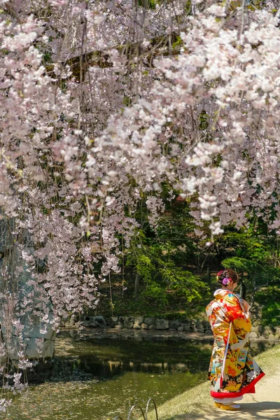 日本冈山市 2023年4月4日 一名身着和服的妇女在日本冈山市的冈山市高冈园 Okayama Korakuen Garden 是位于日本冈山市的一个日本花园 — 图库照片