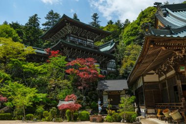 Hatsukaichi, Japonya - 17 Nisan 2023: Daisho-in Tapınağı, Japonya 'nın Hiroşima ilinin Miyajima Adası' nda bulunan bir Budist tapınağıdır..