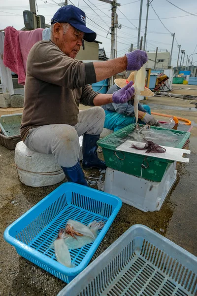 Yobuko Ιαπωνία Απριλίου 2023 Ένα Ζευγάρι Που Καθαρίζει Καλαμάρια Για — Φωτογραφία Αρχείου