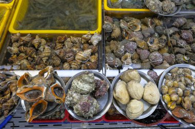 Güney Kore 'nin Busan kentindeki ünlü Jagalchi balık pazarında taze midye, midye ve deniz salyangozu satışı..