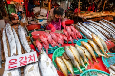 Busan, Güney Kore - 28 Mayıs 2023: Busan, Güney Kore 'deki Jagalchi Market' te balıkçılar.