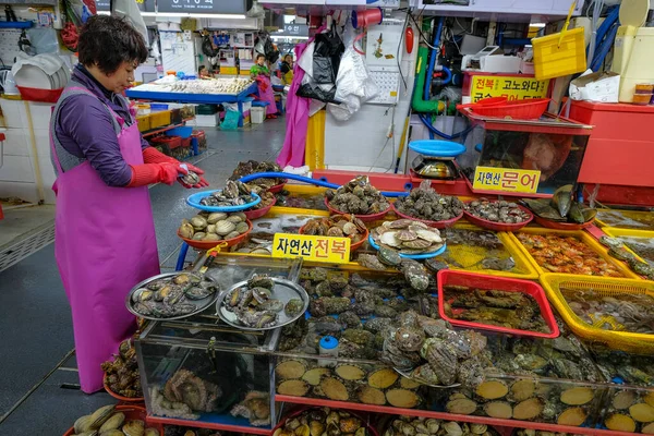 Pusan Korea Południowa Maja 2023 Kobieta Sprzedająca Świeże Małże Małże — Zdjęcie stockowe
