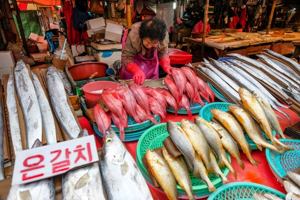 Busan Corea Del Sur Mayo 2023 Pescadores Mercado Jagalchi Busan —  Fotos de Stock