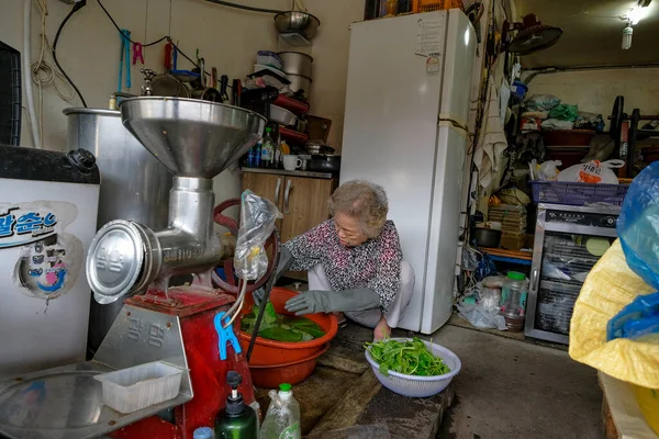 stock image Jeonju, South Korea - June 5, 2023: A woman washing vegetables at Jeonju Market, South Korea.