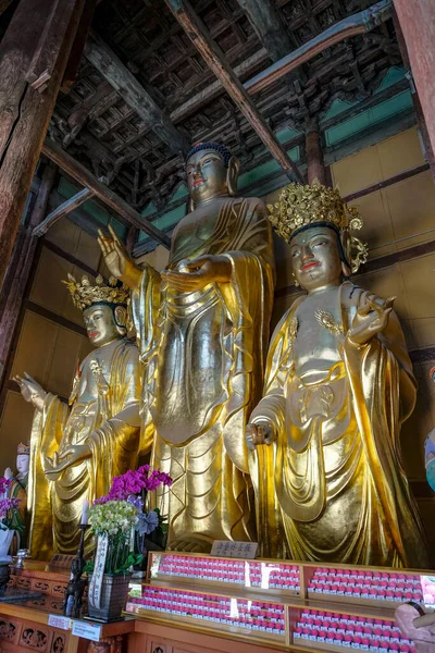 Gimjesi Corea Del Sur Junio 2023 Templo Geumsansa Templo Budista — Foto de Stock