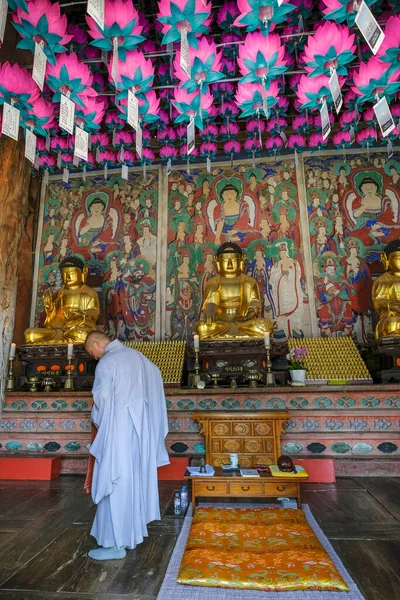 Gongju Südkorea Juni 2023 Mönch Betet Magoksa Tempel Ist Ein — Stockfoto