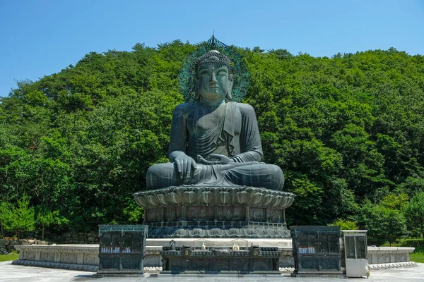 Sokcho Sydkorea Juni 2023 Buddha Staty Vid Sinheungsa Temple Ligger — Stockfoto
