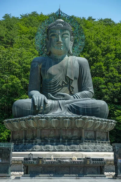 Sokcho Korea Południowa Czerwca 2023 Posąg Buddy Świątyni Sinheungsa Położony — Zdjęcie stockowe