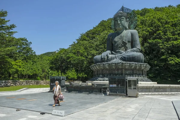 Sokcho Korea Południowa Czerwca 2023 Posąg Buddy Świątyni Sinheungsa Położony — Zdjęcie stockowe