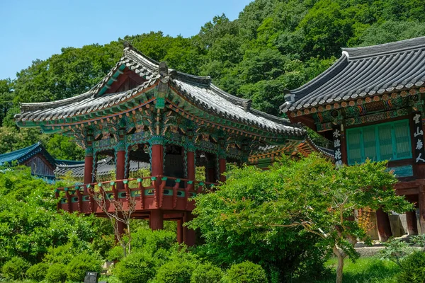 Sokcho Südkorea Juni 2023 Der Seoraksan Sinheungsa Tempel Ist Ein — Stockfoto