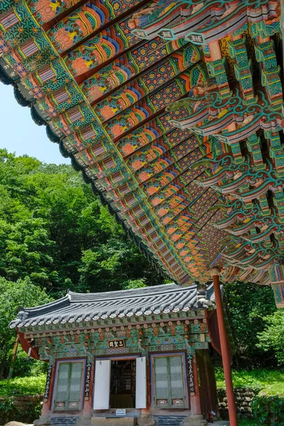 Sokcho Korea Południowa Czerwca 2023 Seoraksan Sinheungsa Rozciągacz Jest Buddyjskim — Zdjęcie stockowe