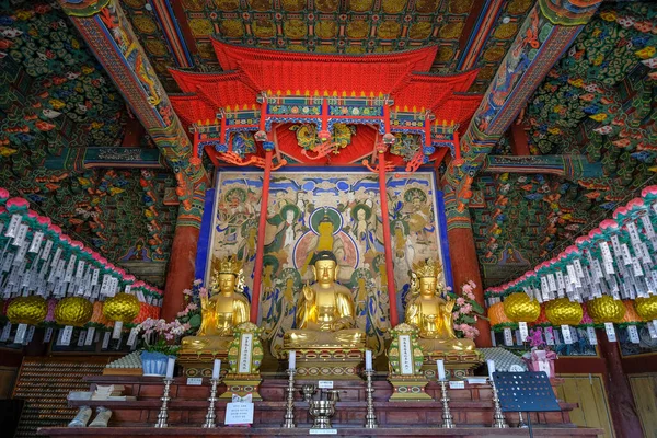 Sokcho Corea Del Sur Junio 2023 Templo Seoraksan Sinheungsa Templo — Foto de Stock