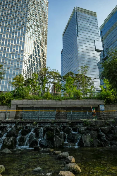 Seul Coreia Sul Junho 2023 Cheonggyecheon Stream Centro Seul Coreia — Fotografia de Stock