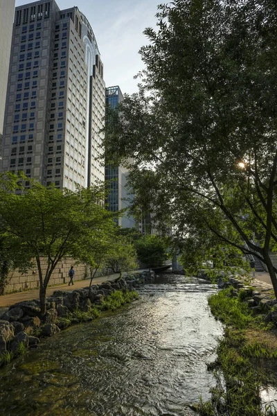 Seul Coreia Sul Junho 2023 Cheonggyecheon Stream Centro Seul Coreia — Fotografia de Stock