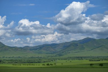 Erdenet, Moğolistan - 19 Temmuz 2023: Erdenet, Moğolistan 'daki Moğol bozkırındaki Yurt yerleşimi.