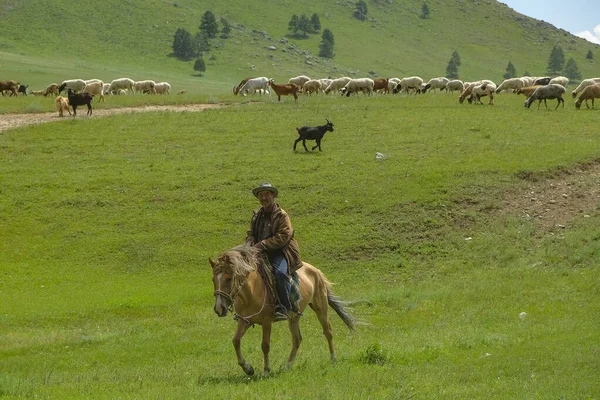Erdenet Mongolia Lipca 2023 Pasterz Koniu Stadem Stepie Mongolskim Erdenet — Zdjęcie stockowe