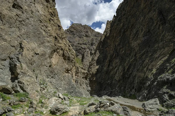 Yolyn Gorge Från Gurvan Saikhan Bergen Gobiöknen Mongoliet — Stockfoto
