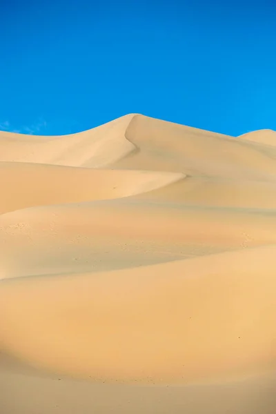 Khongor Sand Dunes Gobi Desert Mongolia — Stock Photo, Image